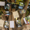 ⁦גלוית זכרון חיובי⁩ – תמונה ⁦3⁩