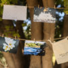 ⁦גלוית זכרון חיובי⁩ – תמונה ⁦3⁩
