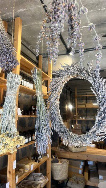 צרורות לבנדר תלויים לייבוש בחנות חוות Sade ברמת הגולן