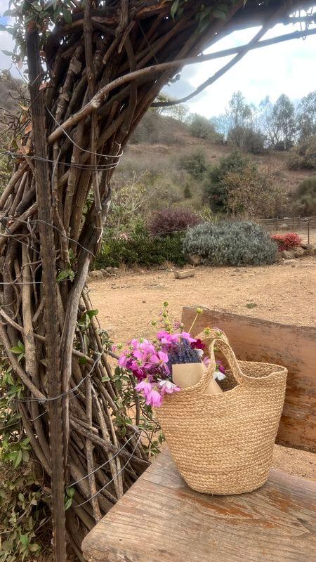 סלסילת קש עם פרחים מונחת על קשת מענפי עץ בתצפית נוף ברמת הגולן