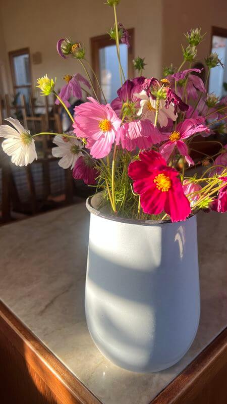 אגרטל תכלת עם זר פרחי קוסמוס צבעוניים מואר באור טבעי רך